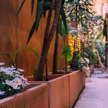 Casa Madi Apartment Palermo Exterior photo